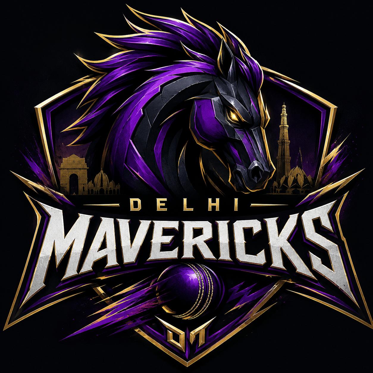 Delhi Mavericks sponsor logo